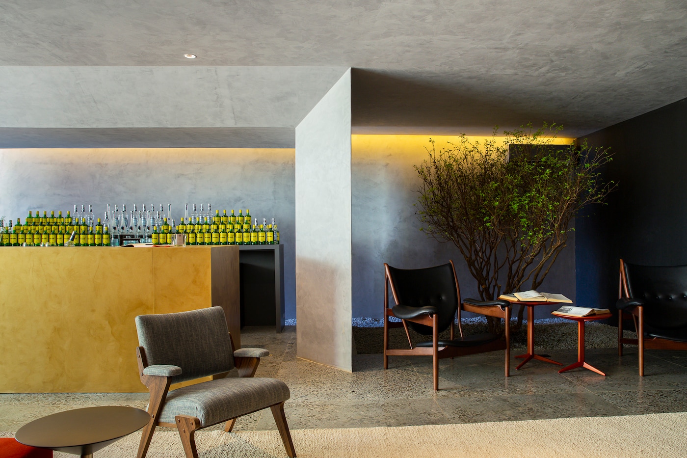 CORAL | CASACOR 2019 | BRASILIA