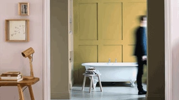 Uma cor surpreendente.