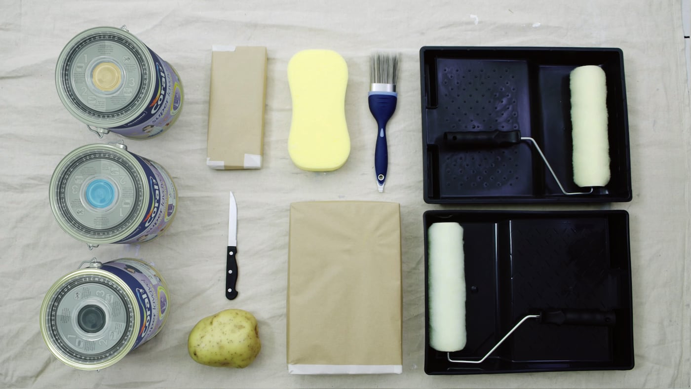 Você precisa das cores: Canto do azulão, Campo Nevado e Dia Dourado | Tintas Coral. 