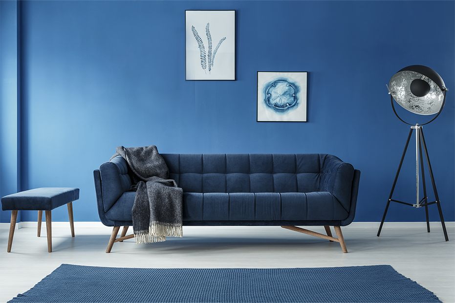 Parede e sofá com muita cor - Cor Azul Carnaval.