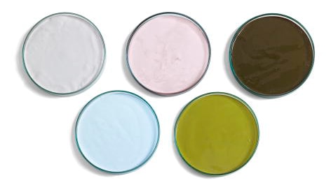 Cores de tintas Coral.