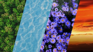 Um ano novo cheio de cores para você!