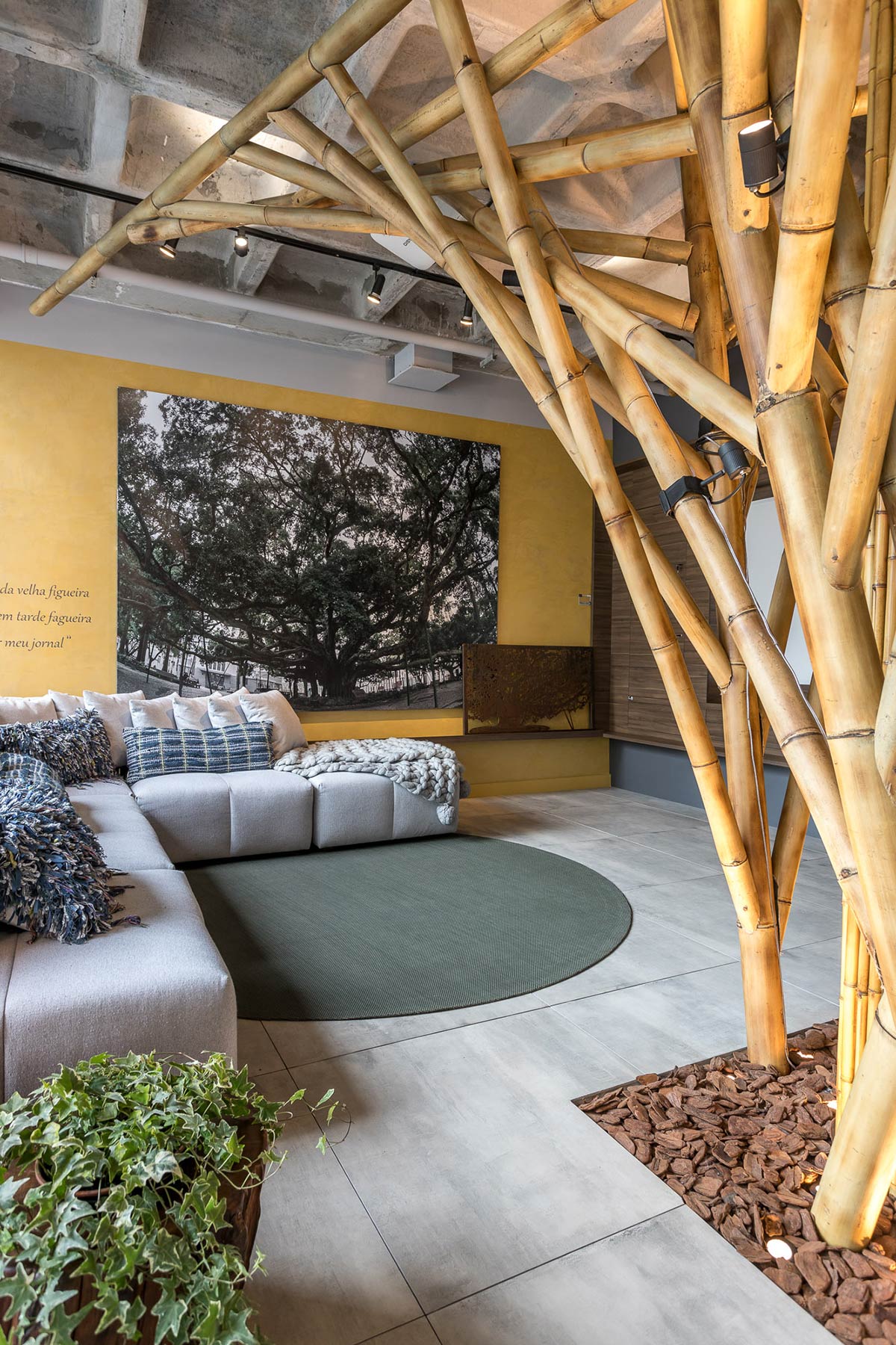 CORAL | CASACOR 2019 | SANTA CATARINA