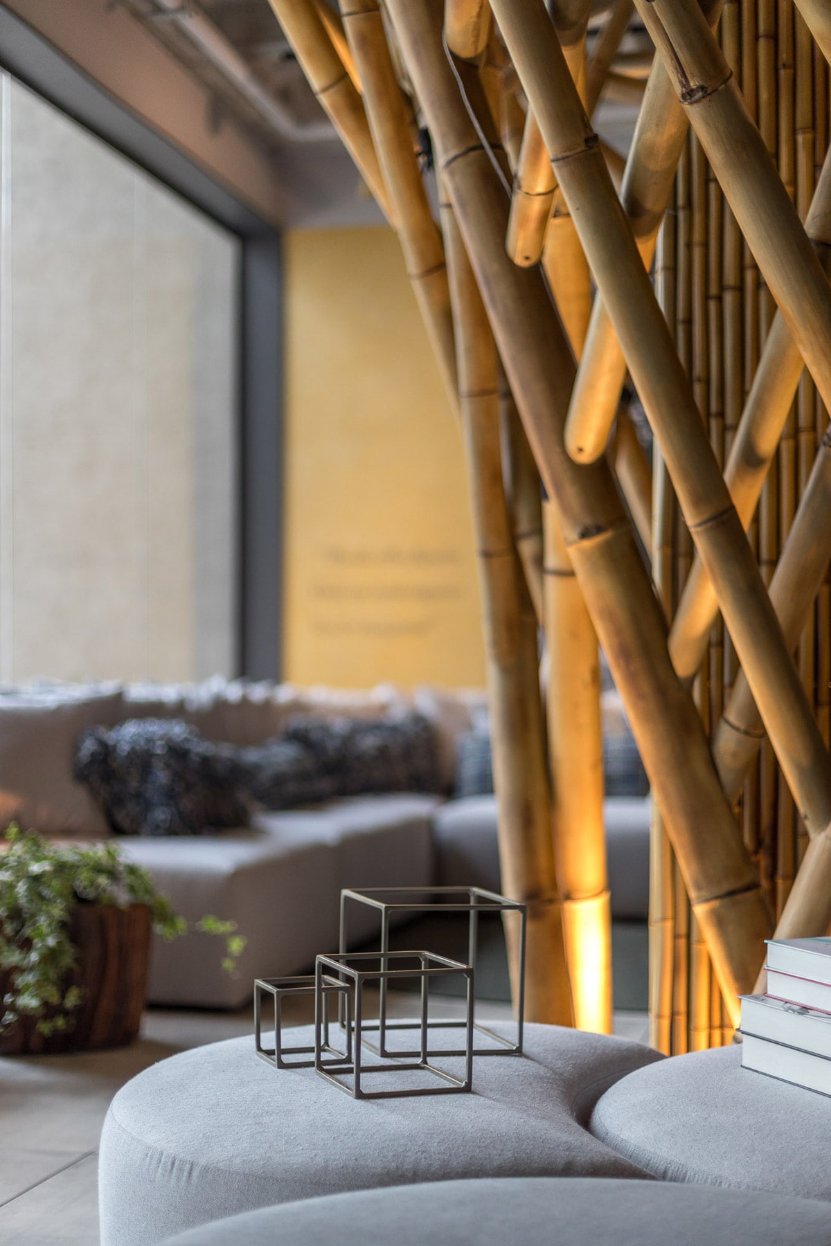 CORAL | CASACOR 2019 | SANTA CATARINA