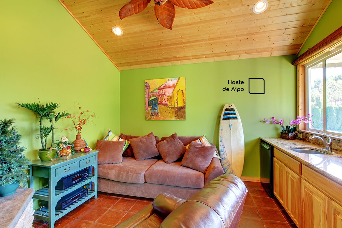 Ambiente  de sala praiano renovado com a cor Haste de Aipo da Tintas Coral. O Tom verde da parede combina perfeitamente com a cor marrom do sofá e com o colorido dos móveis 