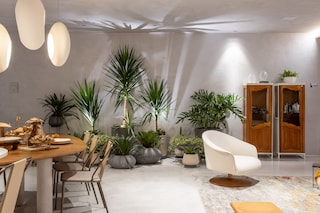 CASACOR Plantas em casa