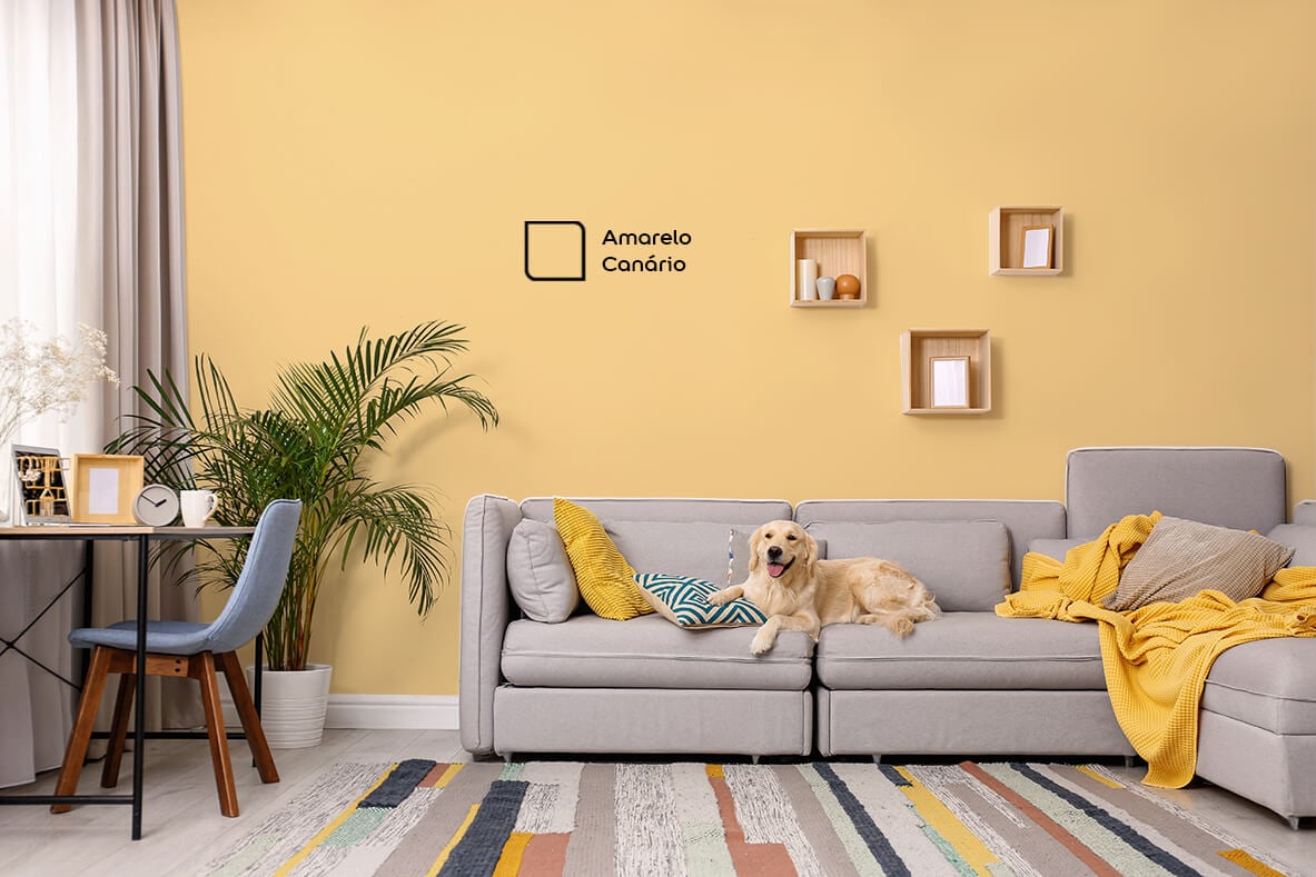 Cães e gatos dão vida à casa e tornam os nossos dias mais leves e divertidos, como nessa sala de estar renovada com a cor Amarelo Canário da Tintas Coral que super combinou com o paninho do pet em amarelo.