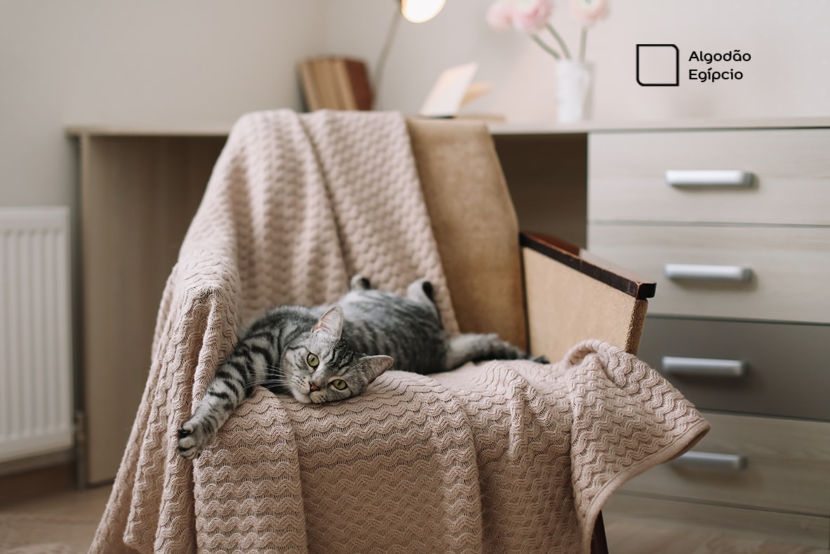 Escritório renovado com a cor Algodão Egípcio da Tintas Coral. Para donos de gatos, a dica é usar muito tecido para eles dormirem aninhados.