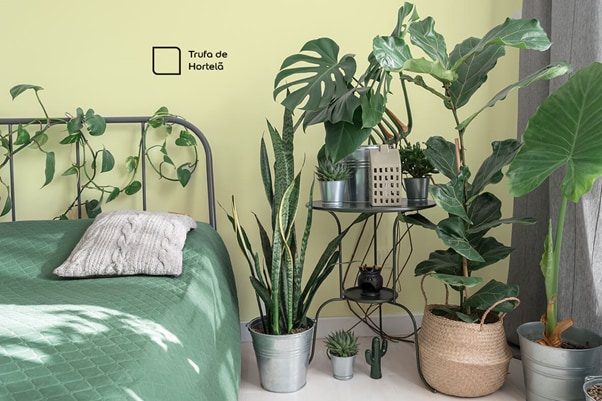 Quarto decorado com parede pintada na cor Trufa de Hortelã da Tintas Coral. O amarelo da parede super combinou com o verde das plantas.
