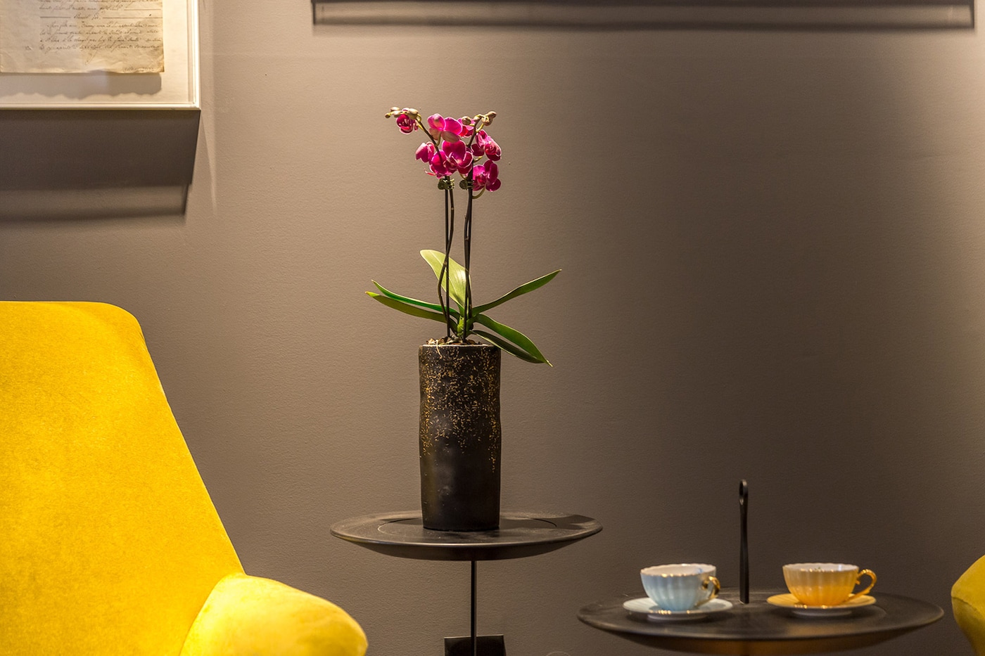 CORAL | CASACOR 2019 | MINAS GERAIS