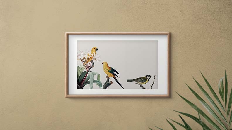 Slider right Image 0