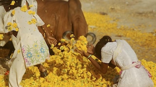 用充满活力的亮黄向春天问好