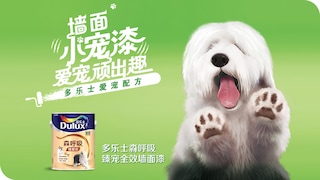 多乐士森呼吸臻宠全效墙面漆