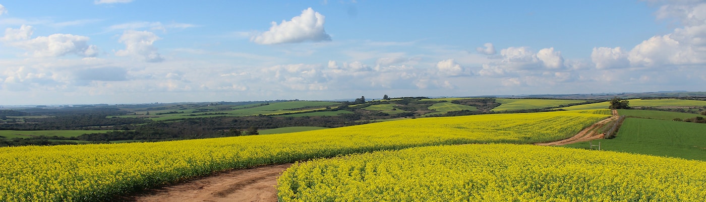 多乐士母公司阿克苏诺贝尔加码可持续发展