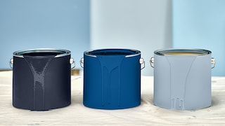 Color of the Year 2026