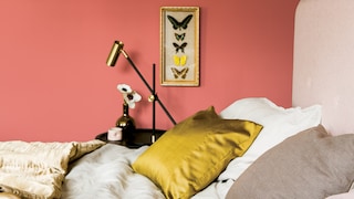 Herkunft, Zukunft und die Farbe Rot