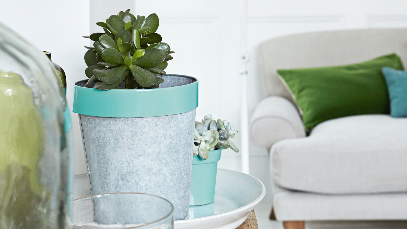 Take ordinary plant pots and vases and give them a lick of paint to make them stand out.