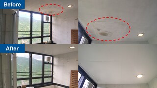 Dulux Painting Service - Real Case Study 【4】