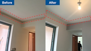 Dulux Painting Service - Real Case Study 【2】