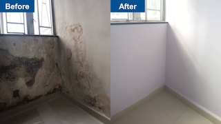 Dulux Painting Service - Real Case Study【6】
