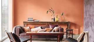 多樂士熱門流行色 | 輕奢復古 Luxurious Retro