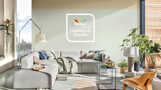 多樂士 2020 年度色彩