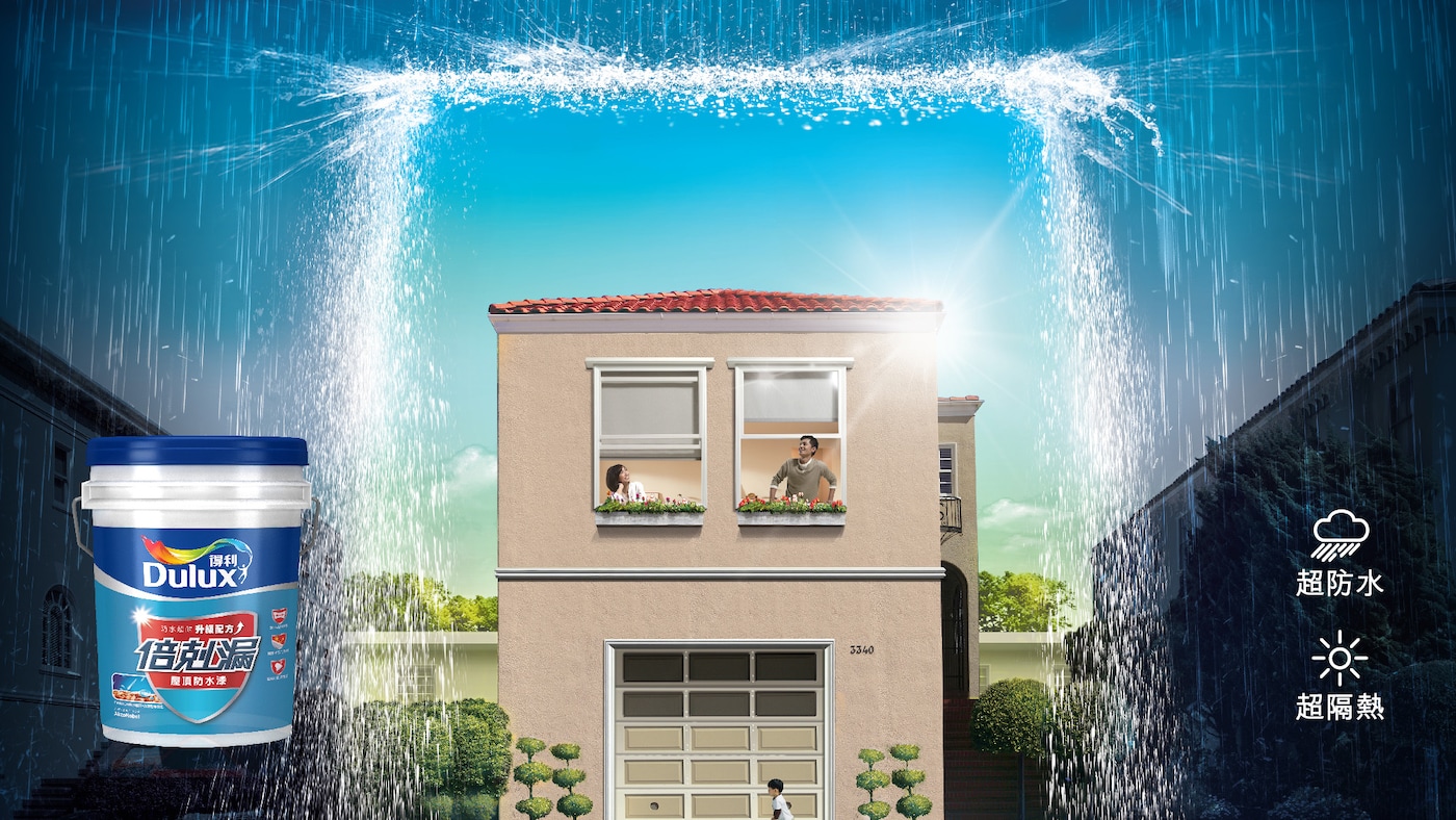 New - WP Roof Paint Banner