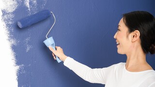 想為牆面重新髹漆嗎？運用「Dulux Visualizer」挑選您最喜愛的漆油顏色