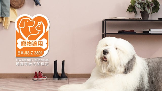 lady painting blue wall