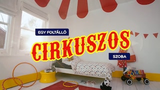 Világszám a porondon!