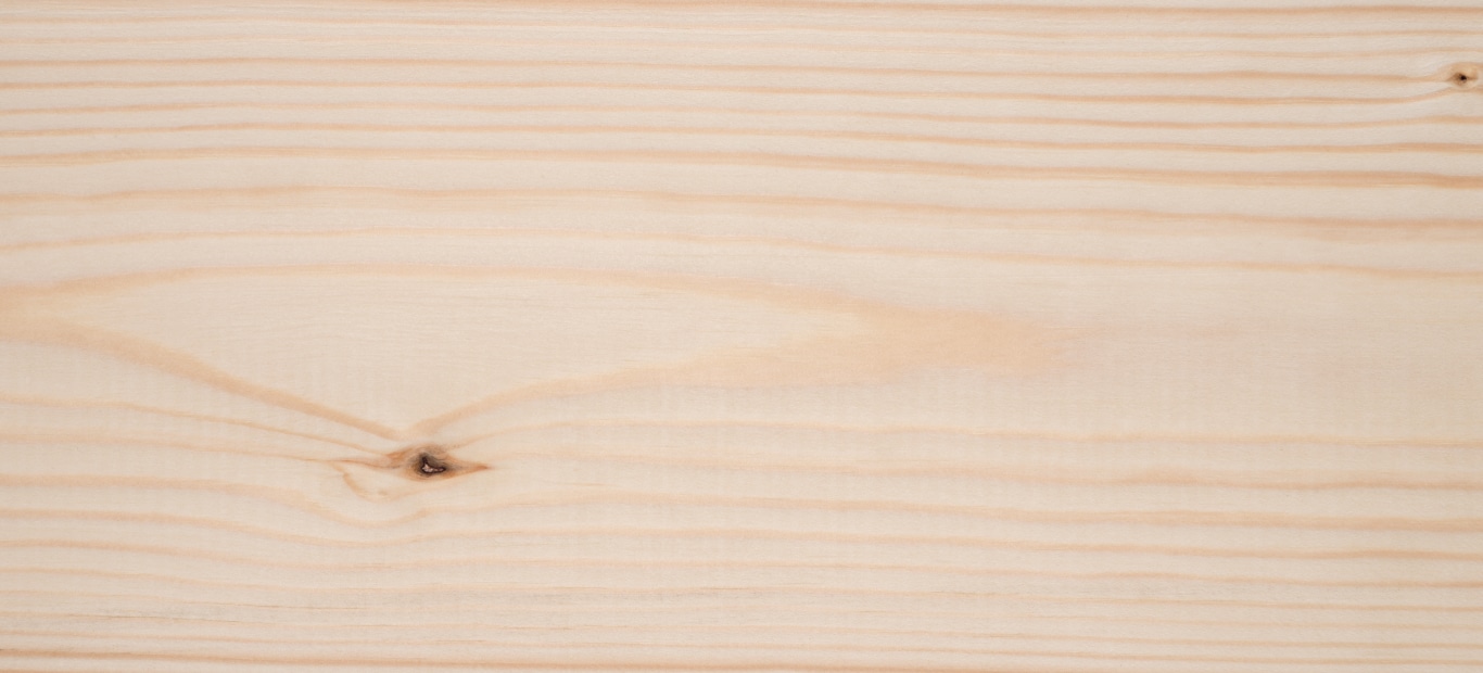 Érdekességek a fáról