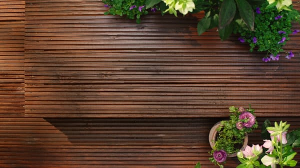 Felülnézetből készült kép sötét vörösesbarna kezelt fa teraszról bordázott deszkákkal, sarokban elhelyezett cserepekben zöld lombozatú és színes lila, rózsaszín és fehér virágokkal