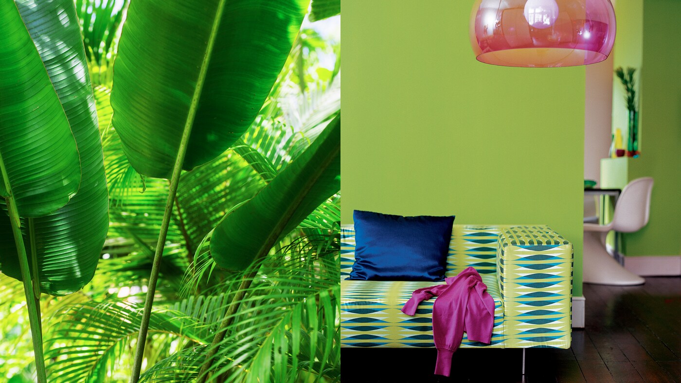 Berikan energi ke dalam ruangan dengan warna hijau tropis yang dipecah dengan percikan warna aksen yang cerah.