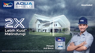 Dulux AquaShield