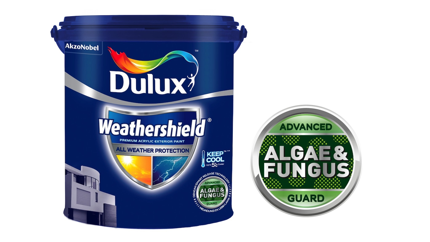 Cat eksterior Dulux weathershield