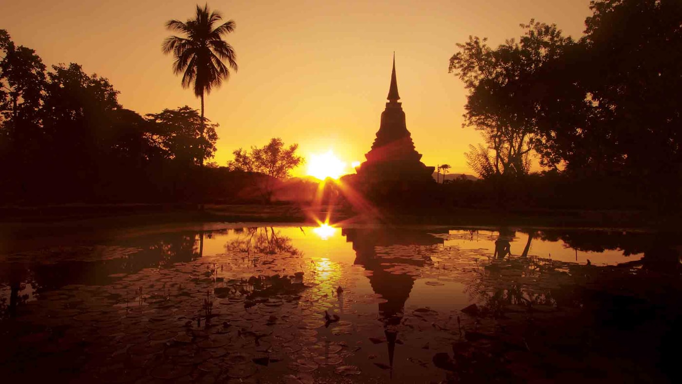 COW-Image Hero-Thailand