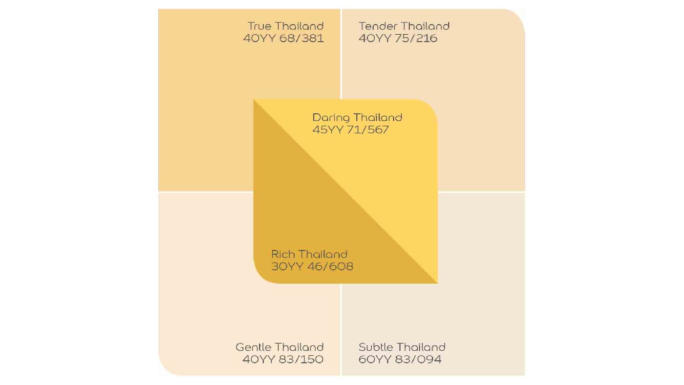COW-palette-thailand
