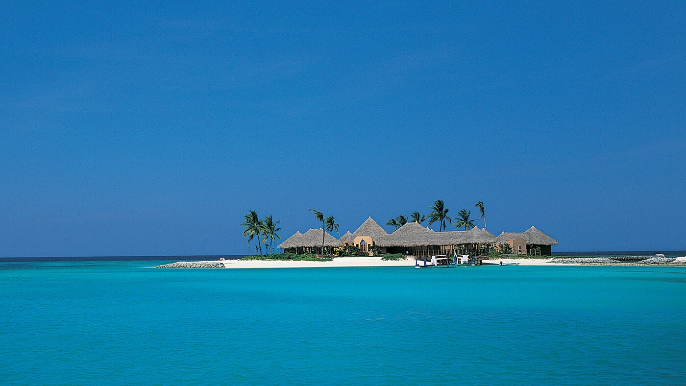 COW-Image Hero-Maldives