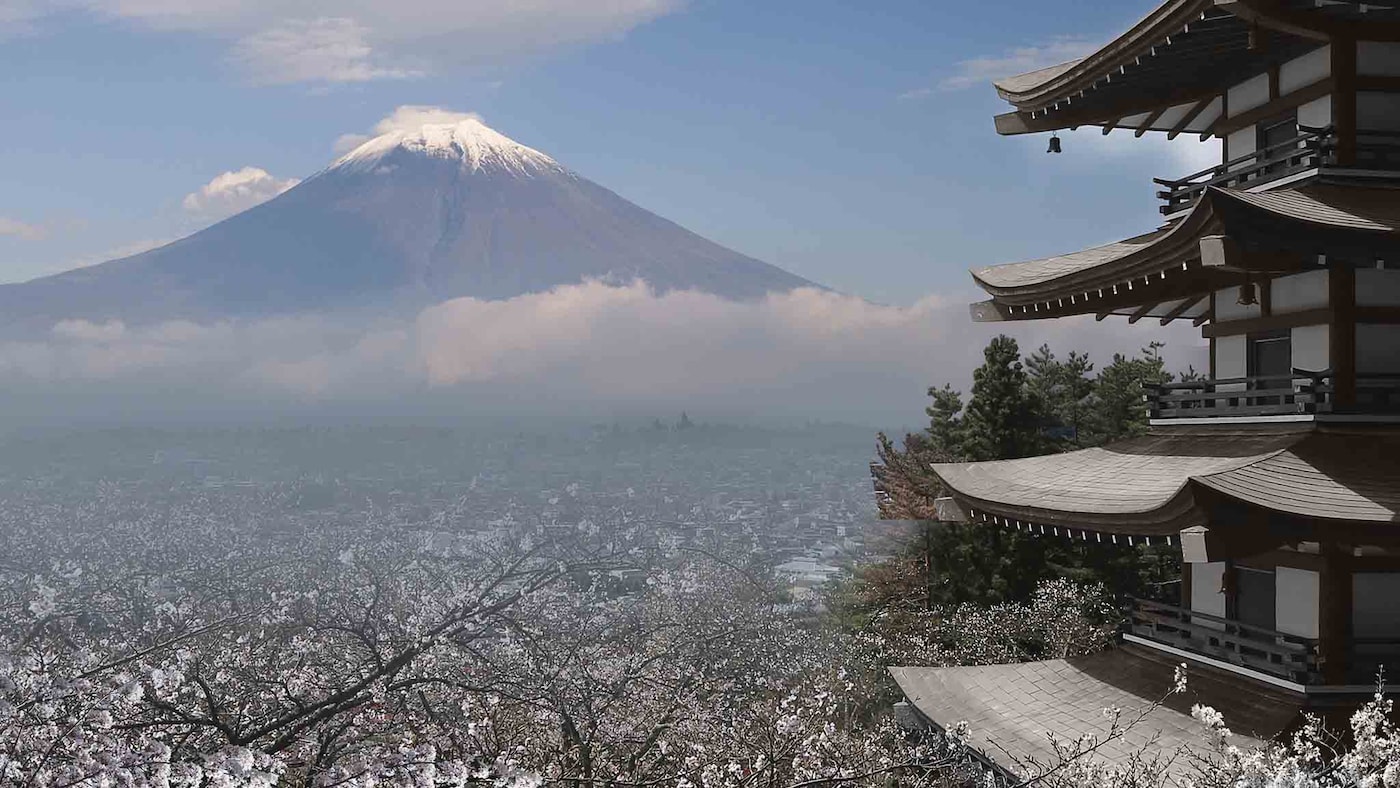 COW-Image Hero-Japan