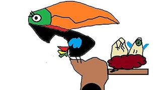 “Tuscan Bird” - @hilli.and.imagination