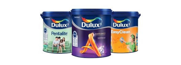 Cat dinding interior