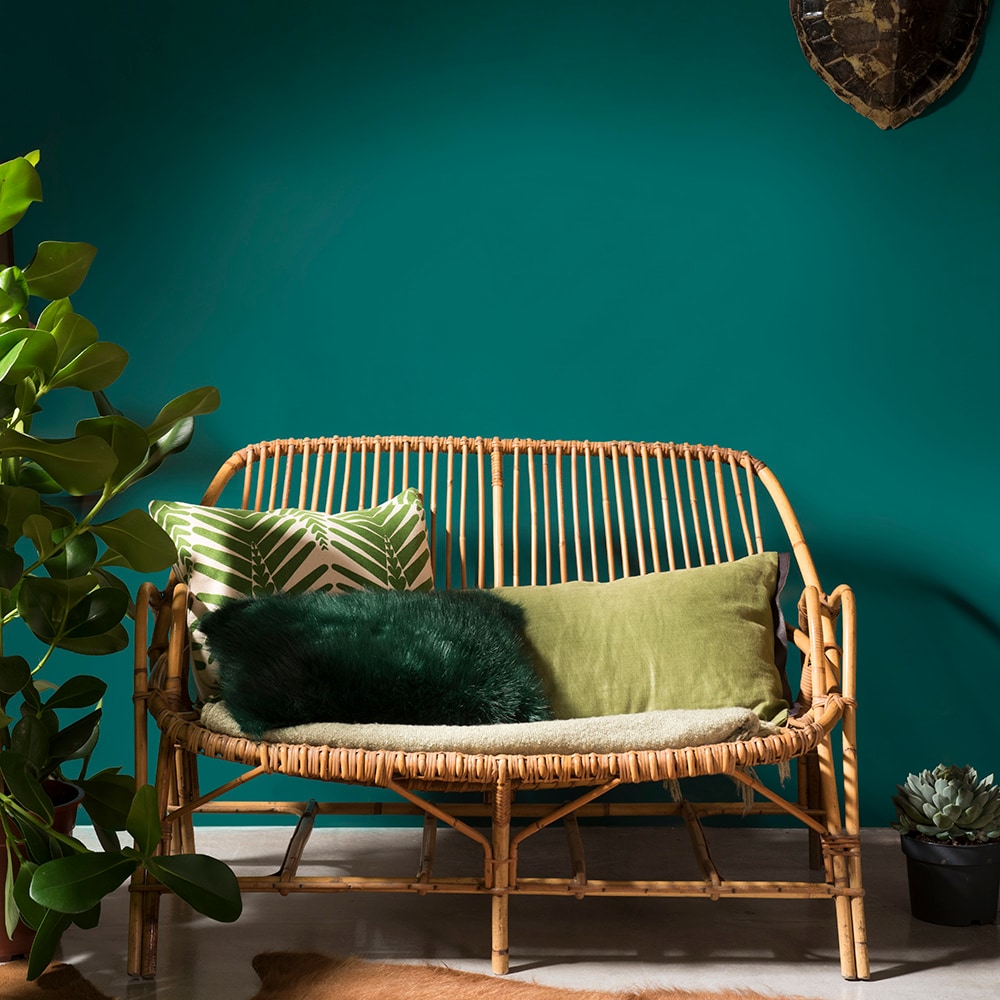 Use Dulux colors to transform your walls, quick paint results, ideal for beginners