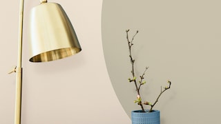 Order Your MODA Colour Card