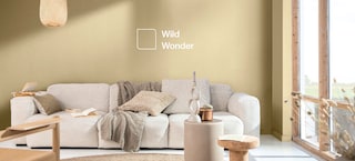Discover the colours that work best with Wild Wonder