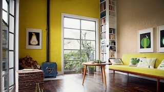 Cut through neutrals with bright bursts