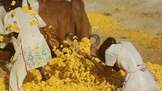 Say hello to spring with vibrant yellow