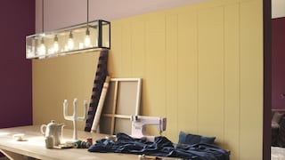 Team warm yellow with shades of pink