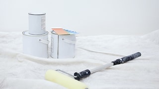 Tips to choose the right painter