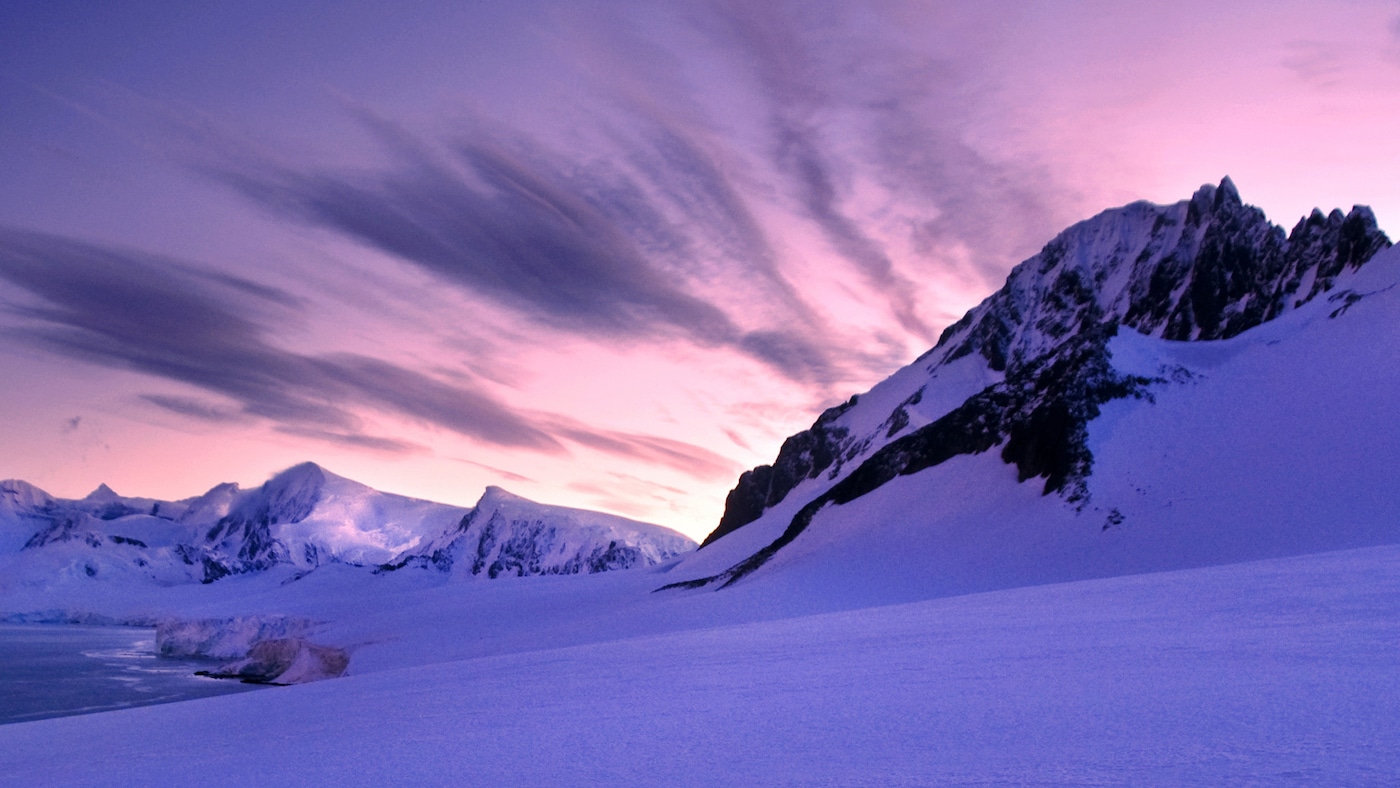 Beautiful violet sky.
