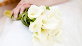 Why do brides wear white?